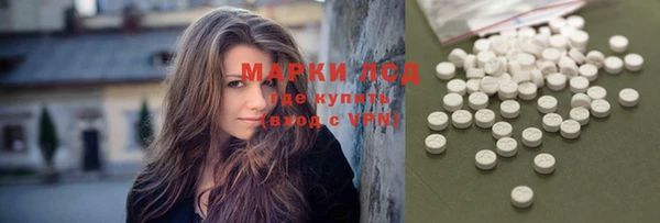 PSILOCYBIN Сосновка