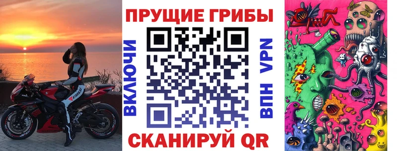 купить наркоту  маркетплейс состав  Галлюциногенные грибы мицелий  Кудрово 